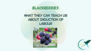 title with a picture of different blackberries - some ripe some not